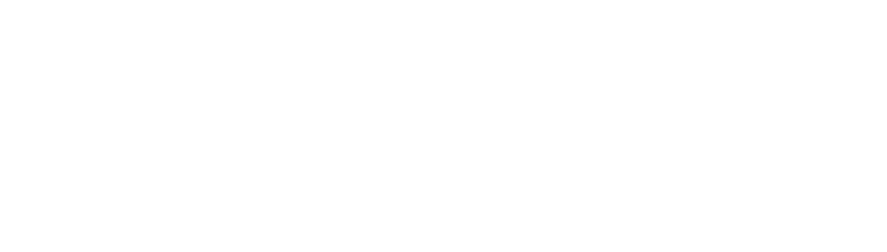 Dibiliz Security Systems